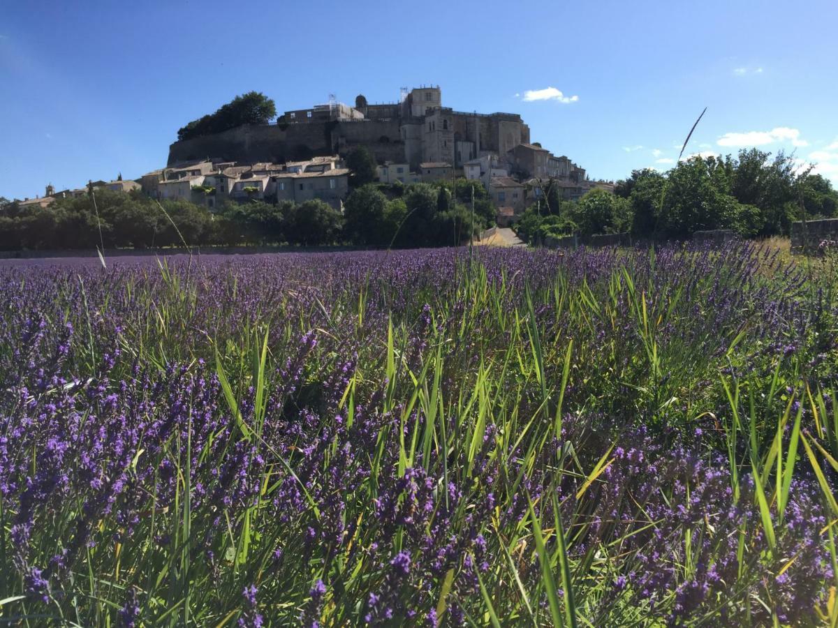 La Vie De Chateau Grignan Exterior foto